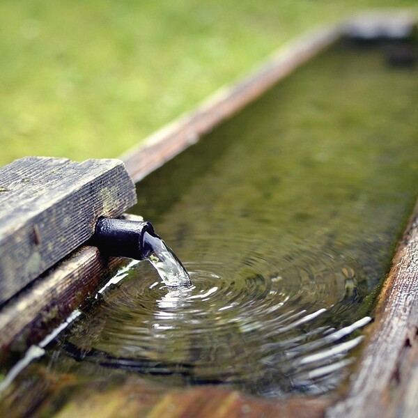 Aus Quellen leben / water-4429191_1280_Bild von Jerzy Górecki auf Pixabay