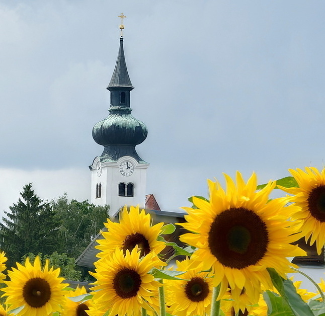 Pfarrgemeinde Schörfling