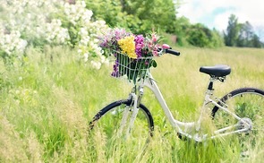 Fahrrad