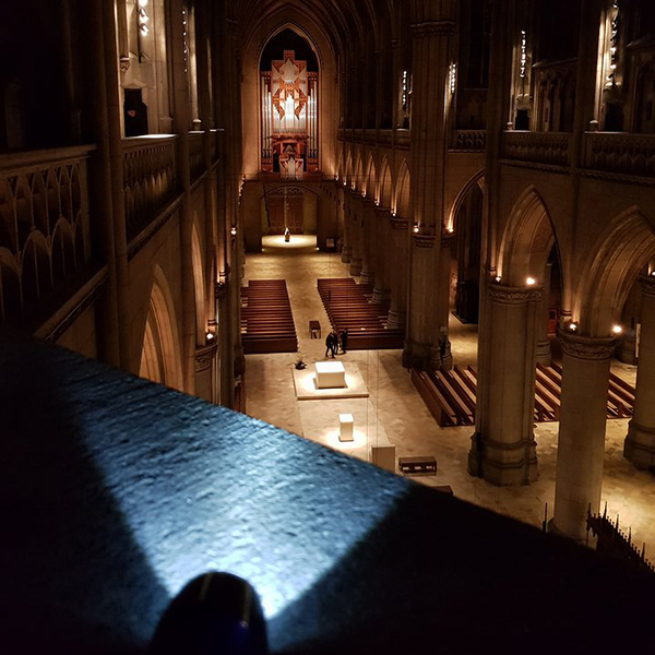Im Licht der Taschenlampen / © Mariendom Linz/Stiendl Im Licht der Taschenlampen
