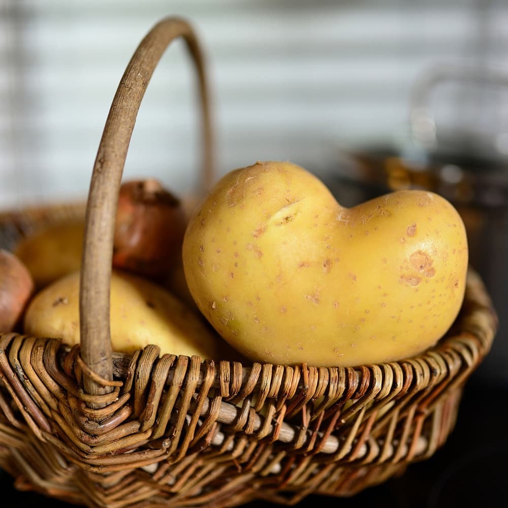 Kartoffeln