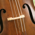 Cello / © taliesin / Morguefile.com Cello