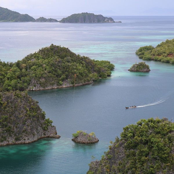 Papua-Neuguinea / © blackinkstudio07/pixabay.com/CC0 1.0 Papua-Neuguinea