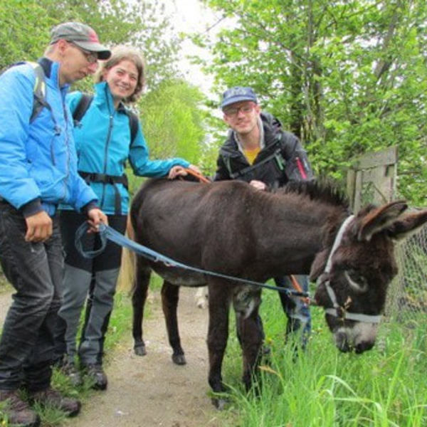 Ponywanderung von 5. bis 9. Mai 2014