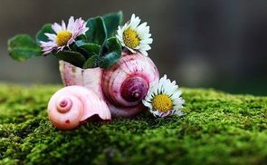 aus der Leere wächst Fülle