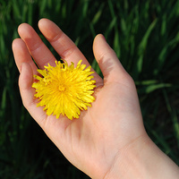 Hand